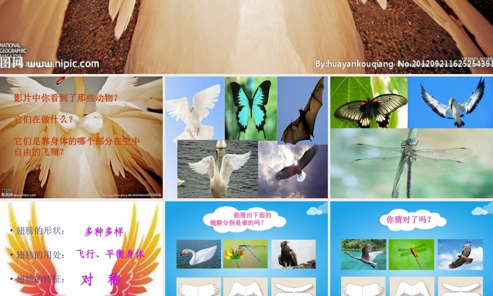 湘教小学美术一下《15会飞的翅膀 》PPT课件.ppt