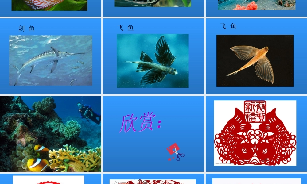 湘教小学美术一下《14剪对称鱼形 》PPT课件.ppt