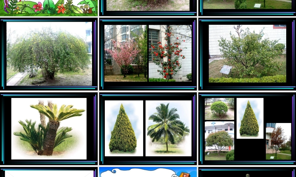 湘教小学美术一下《21小树快快长 》PPT课件 (3).ppt