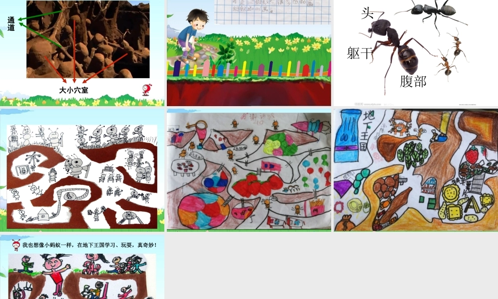 湘教小学美术一下《17地下王国 》PPT课件.ppt
