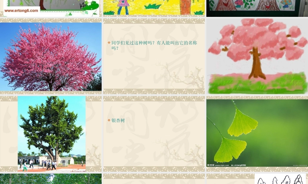 湘教小学美术一下《21小树快快长 》PPT课件 (1).ppt