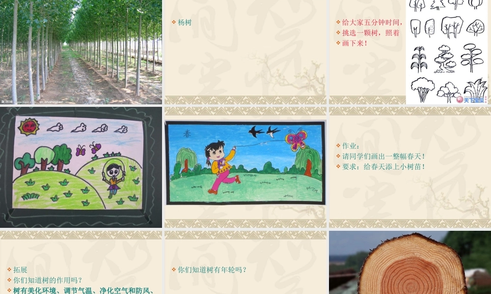 湘教小学美术一下《21小树快快长 》PPT课件 (1).ppt