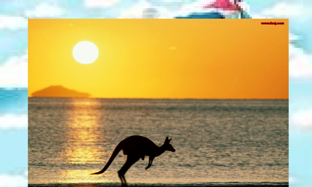 湘教小学美术一下《8袋鼠妈妈的口袋 》PPT课件.ppt