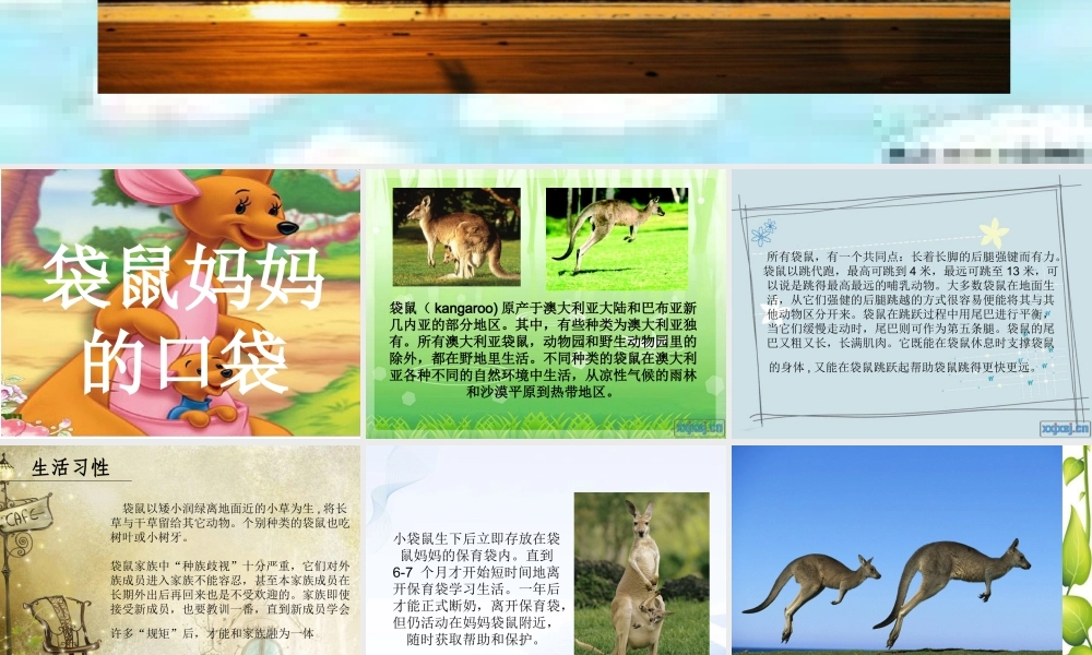 湘教小学美术一下《8袋鼠妈妈的口袋 》PPT课件.ppt