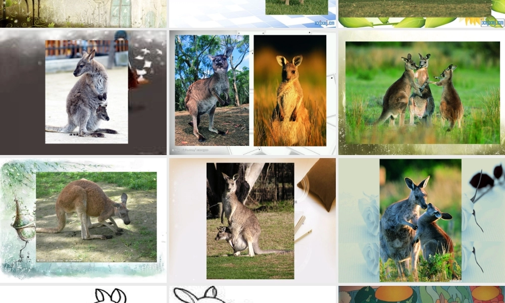 湘教小学美术一下《8袋鼠妈妈的口袋 》PPT课件.ppt