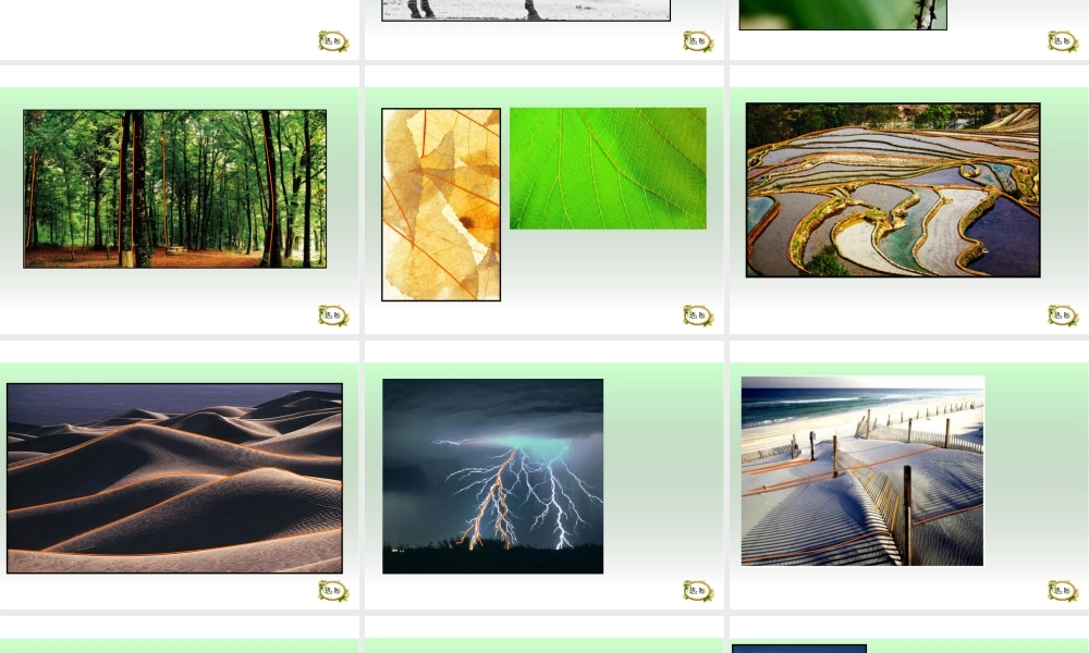 湘教小学美术三上《第5谋线的表现力》PPT课件.ppt