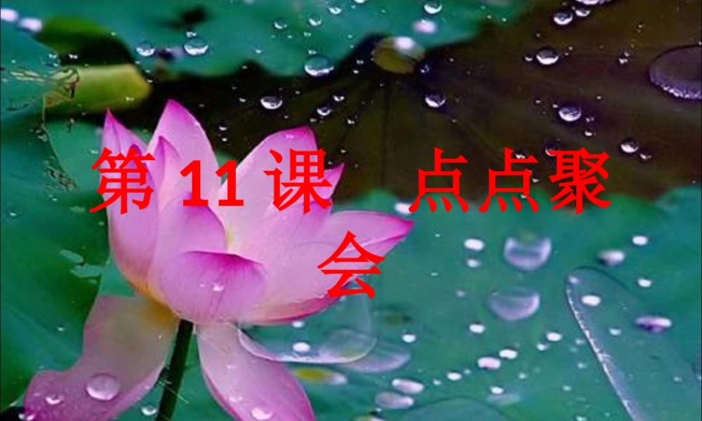 湘教小学美术二上《11点点聚会 》PPT课件.ppt