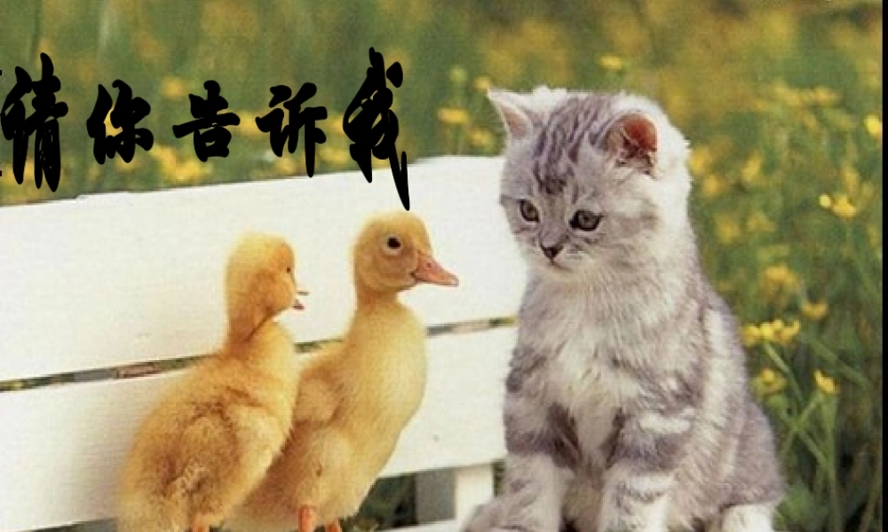 湘教小学美术二上《18请你告诉我 》PPT课件 (2).ppt