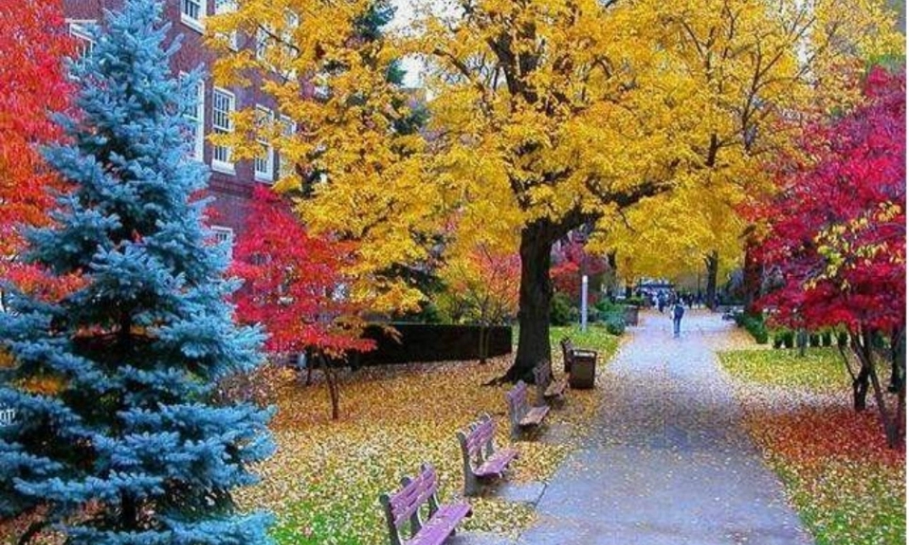 湘教小学美术二上《2三个好伙伴 》PPT课件 (5) .ppt