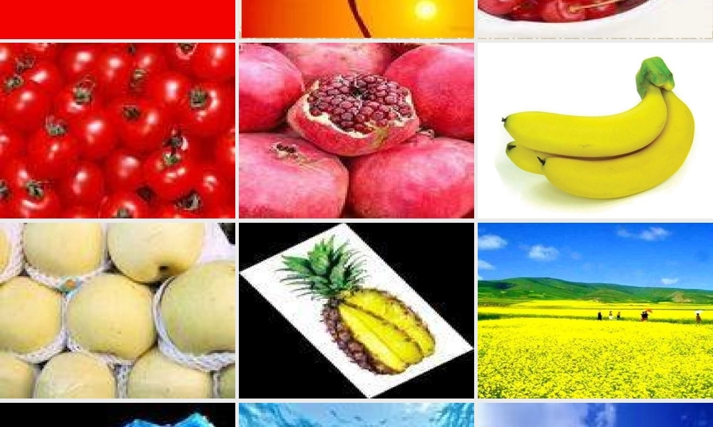 湘教小学美术二上《2三个好伙伴 》PPT课件 (2) .ppt