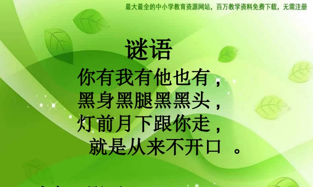 湘教小学美术二下《17影子大王 》PPT课件 (1) .ppt