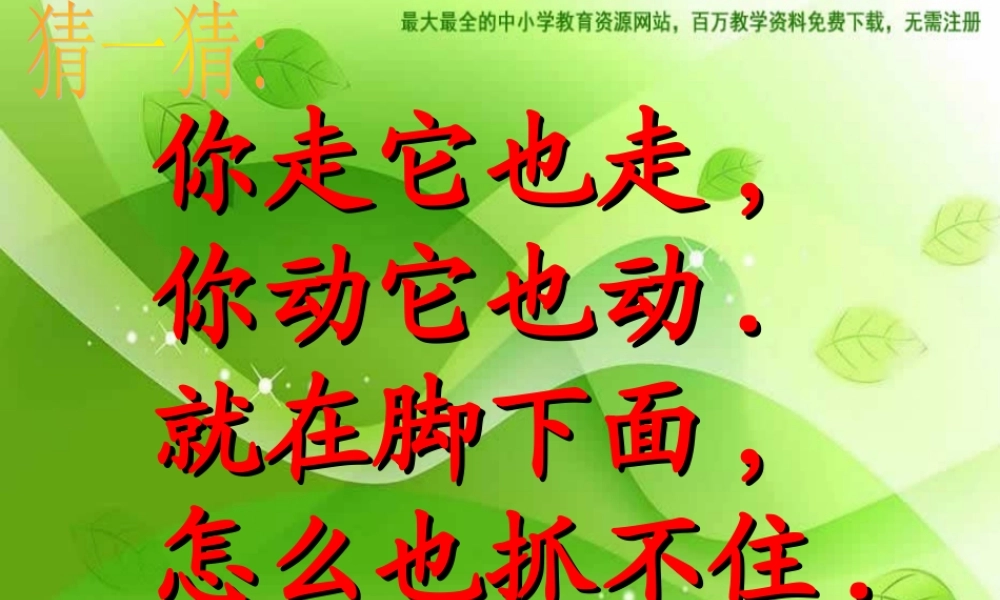 湘教小学美术二下《17影子大王 》PPT课件 (2) .ppt