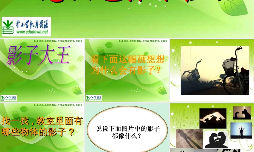 湘教小学美术二下《17影子大王 》PPT课件 (2) .ppt