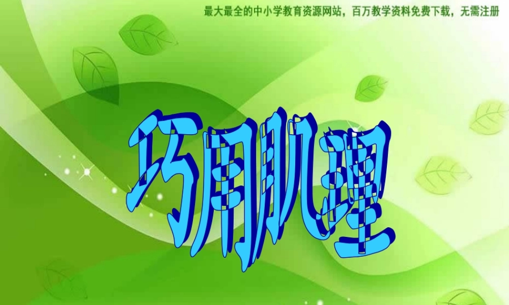 湘教小学美术六下《第10课 巧用肌理》PPT课件 (1) .ppt