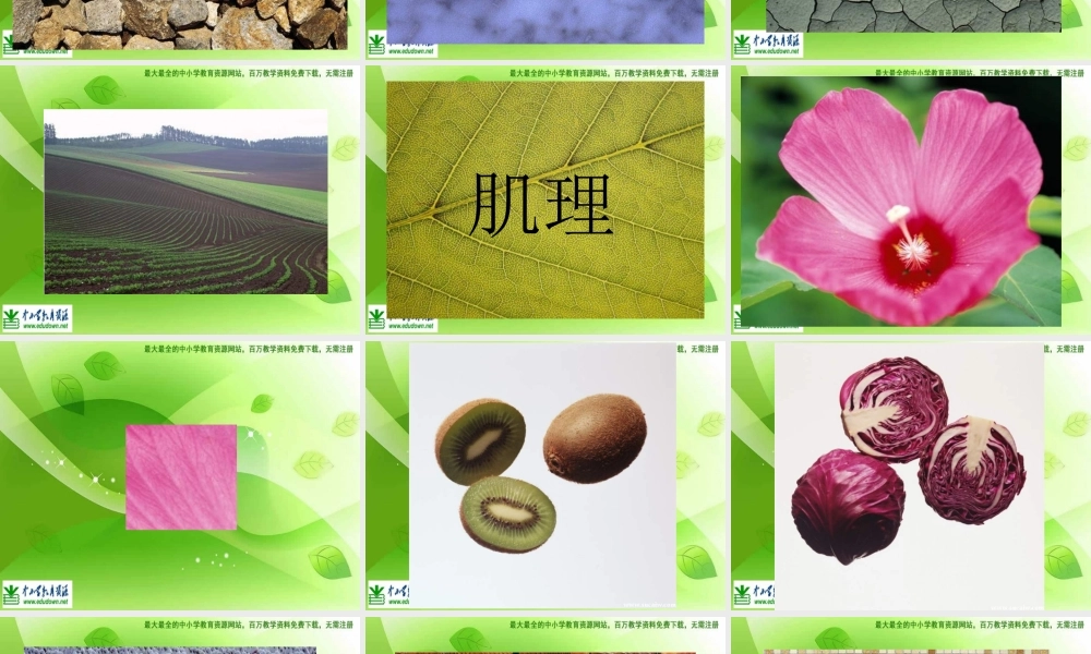 湘教小学美术六下《第10课 巧用肌理》PPT课件 (1) .ppt