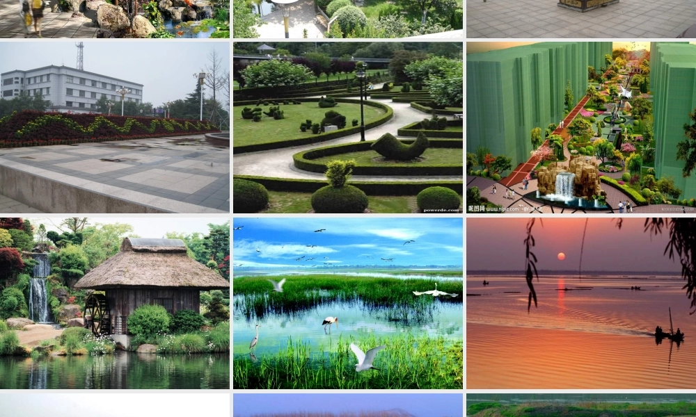 湘教小学美术六上《第7谭小小园艺师》PPT课件.ppt