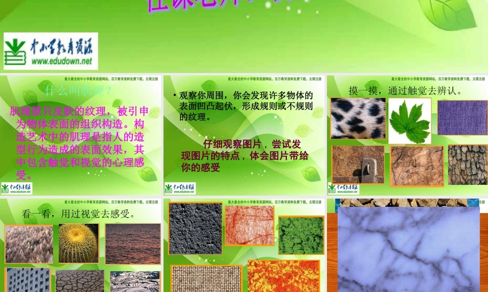 湘教小学美术六下《第10课 巧用肌理》PPT课件 (4) .ppt