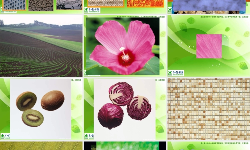 湘教小学美术六下《第10课 巧用肌理》PPT课件 (4) .ppt