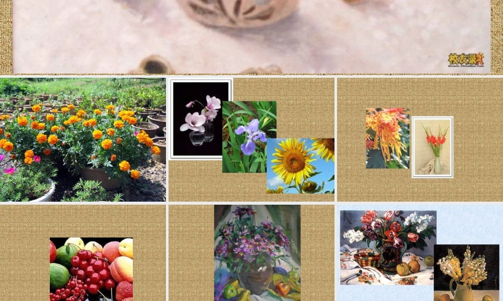 湘教小学美术六下《第5课 瓶花与水果》PPT课件.ppt