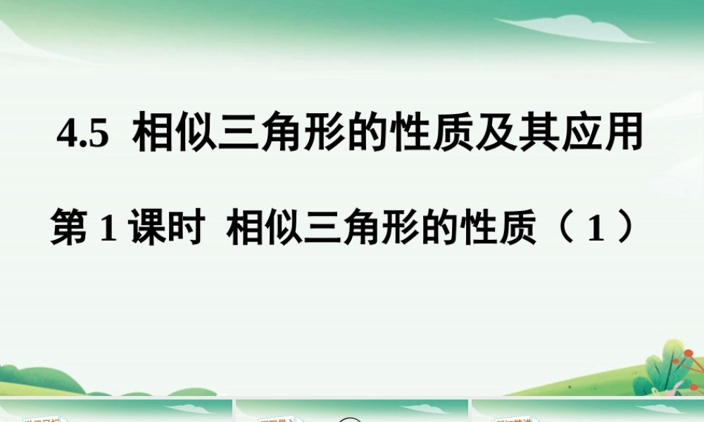 第1课时 相似三角形的性质.pptx