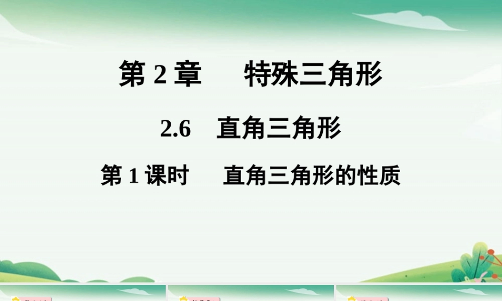 第1课时 直角三角形的性质.pptx