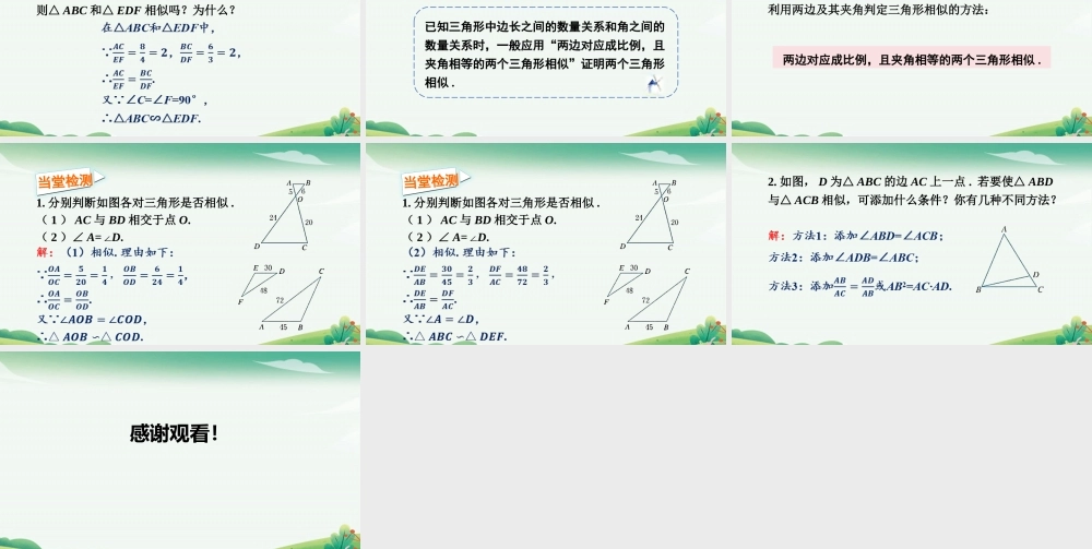 第2课时 两个三角形相似的判定.pptx