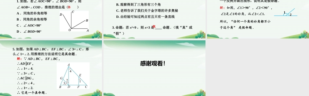 第2课时 真命题与假命题.pptx