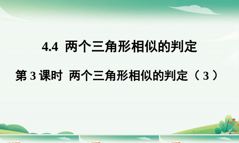 第3课时 两个三角形相似的判定.pptx