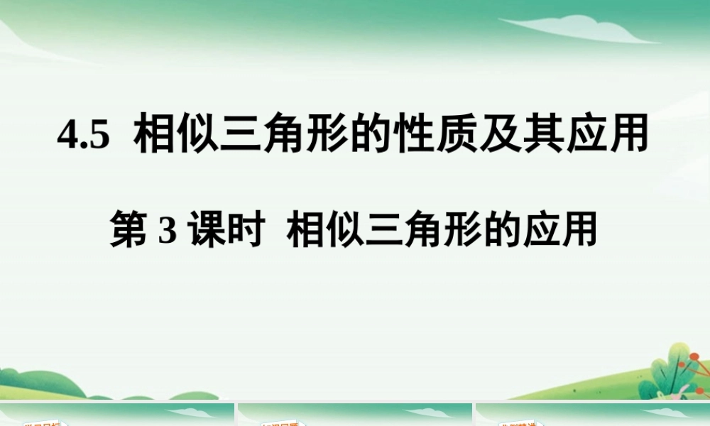 第3课时 相似三角形的应用.pptx