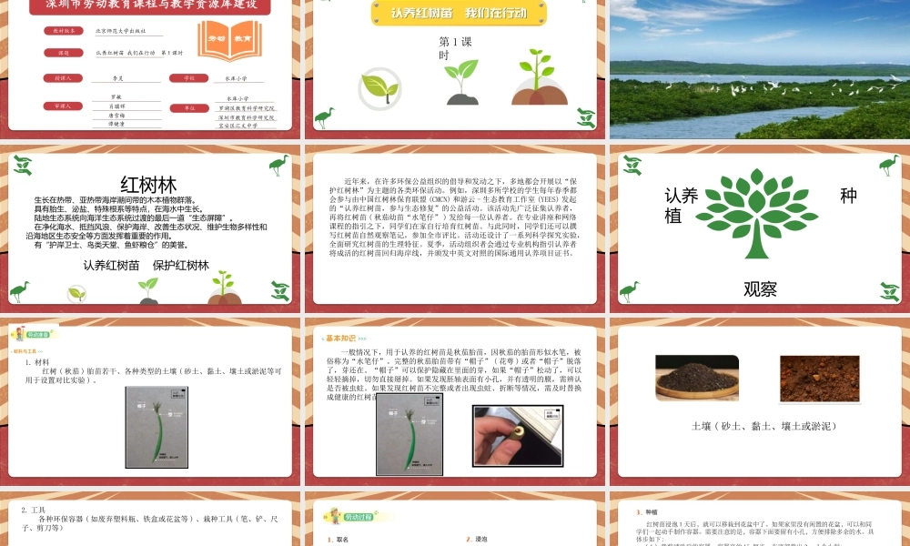 课时18995_活动14《认养红树苗 我们在行动》第1课时-七年级《认养红树苗我们在行动》第1课时微课（水库小学李灵）】【虚拟宝库网www.xunibaoku.com】.pptx