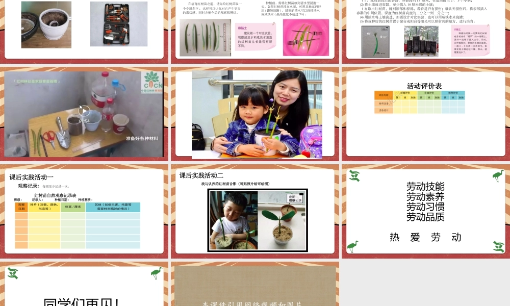 课时18995_活动14《认养红树苗 我们在行动》第1课时-七年级《认养红树苗我们在行动》第1课时微课（水库小学李灵）】【虚拟宝库网www.xunibaoku.com】.pptx