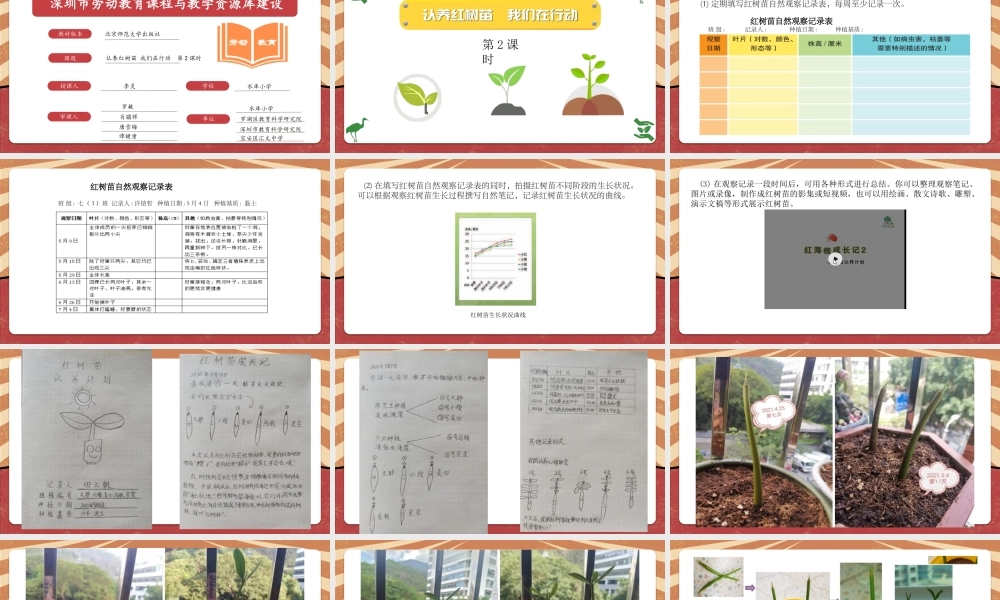 课时18997_活动14《认养红树苗 我们在行动》第2课时-七年级《认养红树苗我们在行动》第2课时微课（水库小学李灵）】【虚拟宝库网www.xunibaoku.com】.pptx