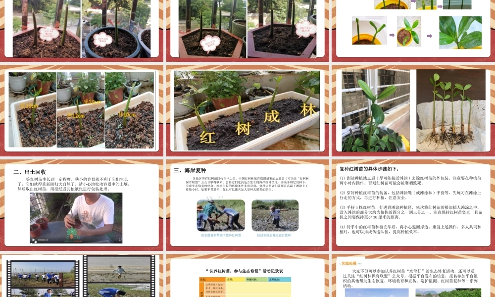 课时18997_活动14《认养红树苗 我们在行动》第2课时-七年级《认养红树苗我们在行动》第2课时微课（水库小学李灵）】【虚拟宝库网www.xunibaoku.com】.pptx