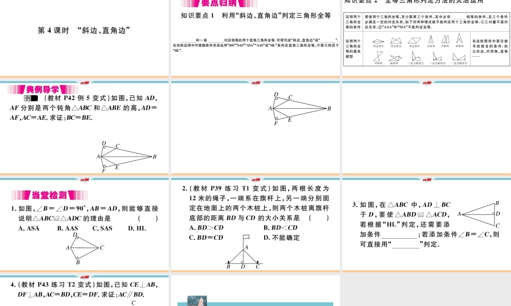 12.2第4课时“斜边、直角边”.pptx