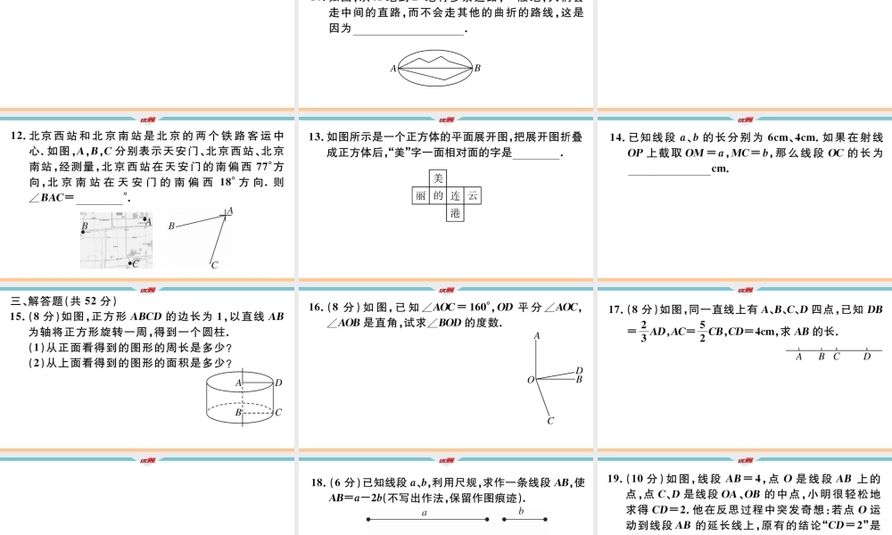 12.阶段综合训练十一：几何图形初步【测试范围：第四章】.ppt