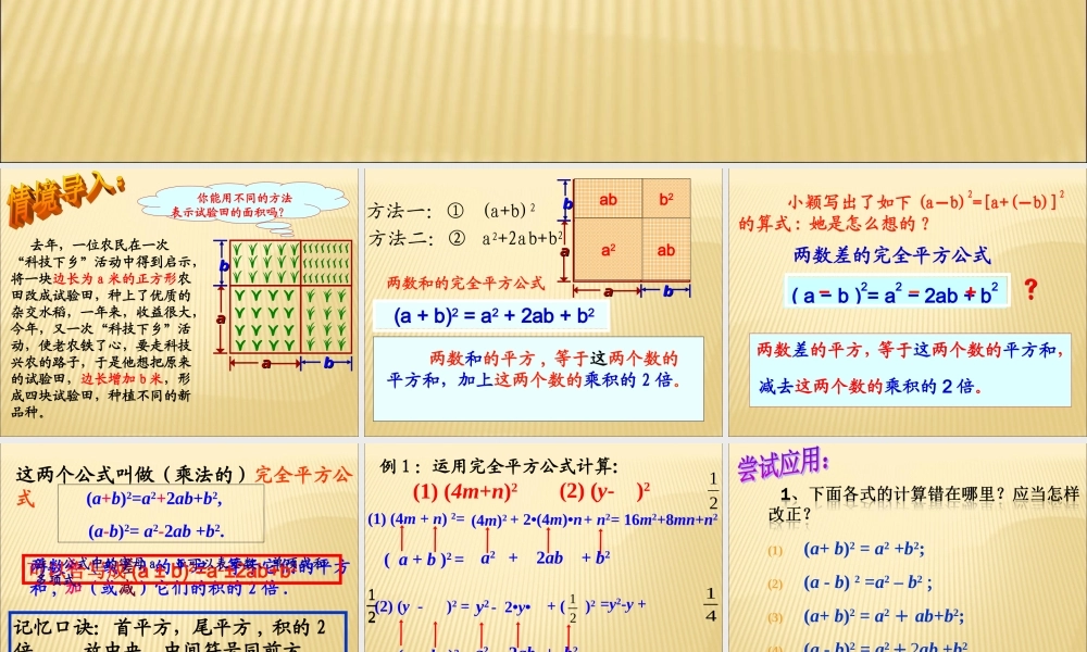 14.2.2 完全平方公式2.ppt