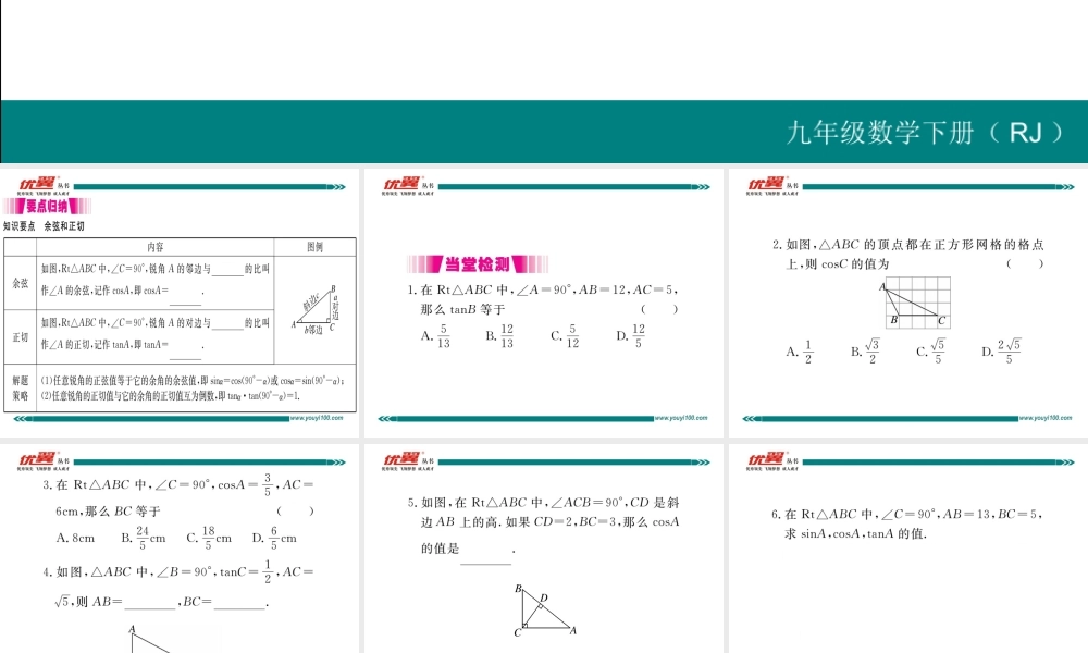 28.1 第2课时余弦函数和正切函数.ppt