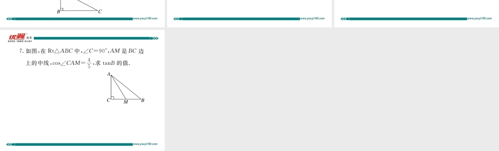 28.1 第2课时余弦函数和正切函数.ppt