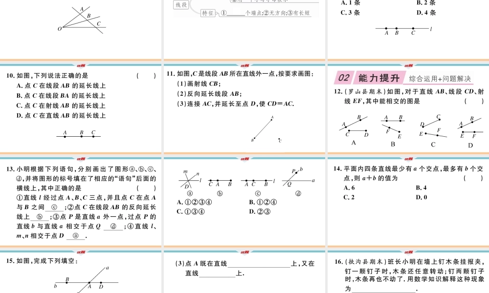 4.2第1课时直线、射线、线段.ppt