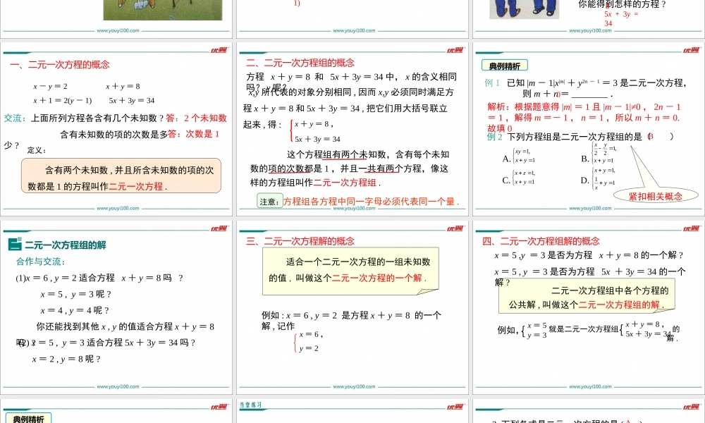 8.1 二元一次方程组.ppt