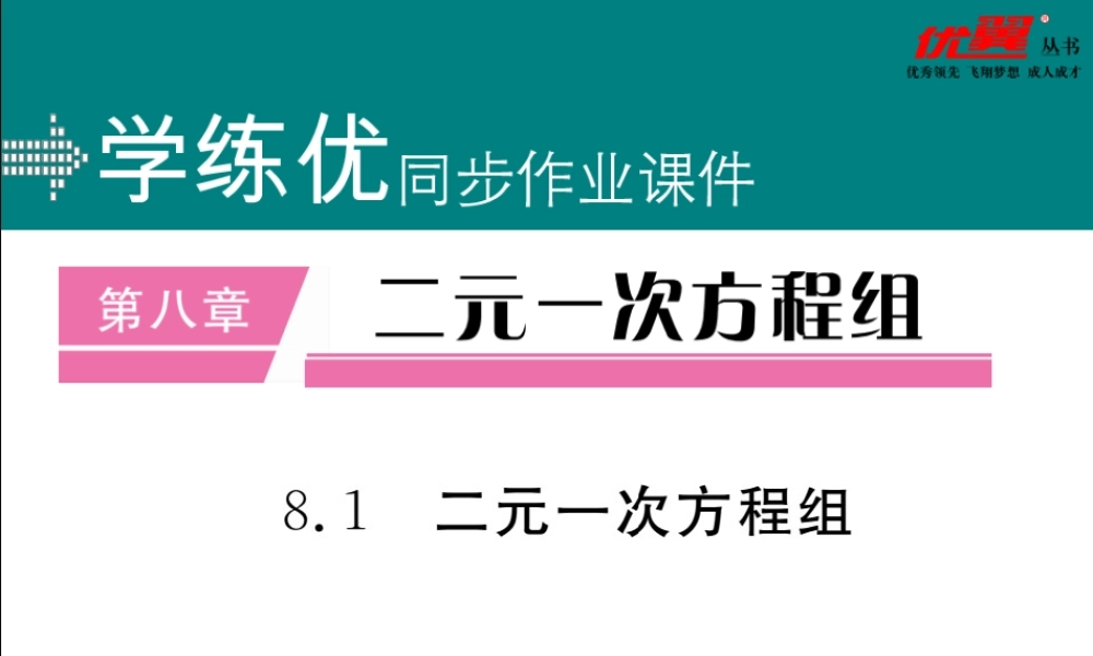 8.1二元一次方程组.ppt