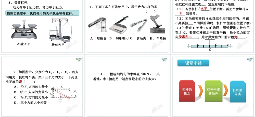 12.1杠杆.ppt