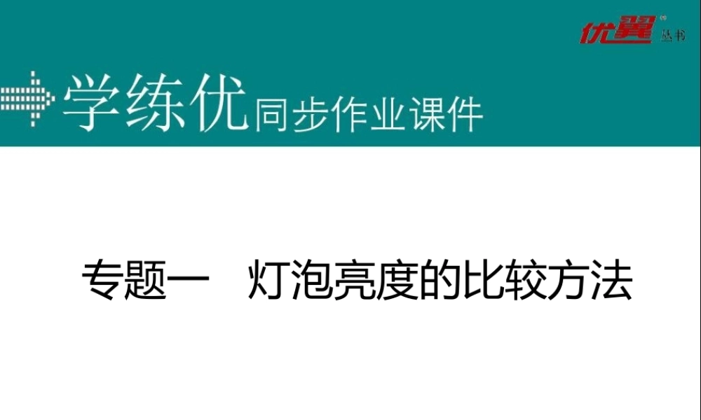 专题一 灯泡亮度的比较方法.ppt