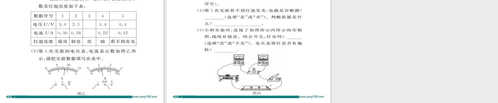 专题一 灯泡亮度的比较方法.ppt