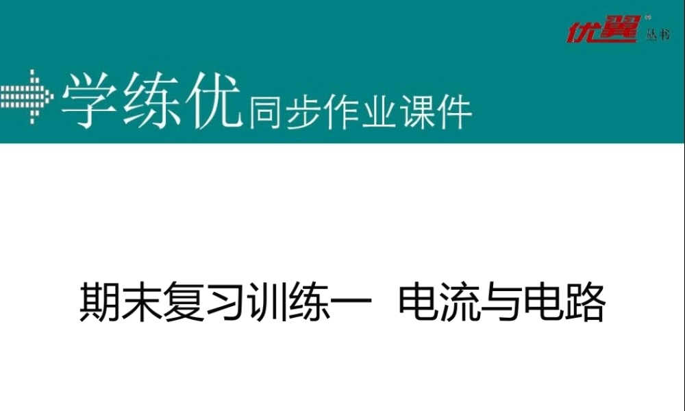期末复习训练一 电流与电路.ppt