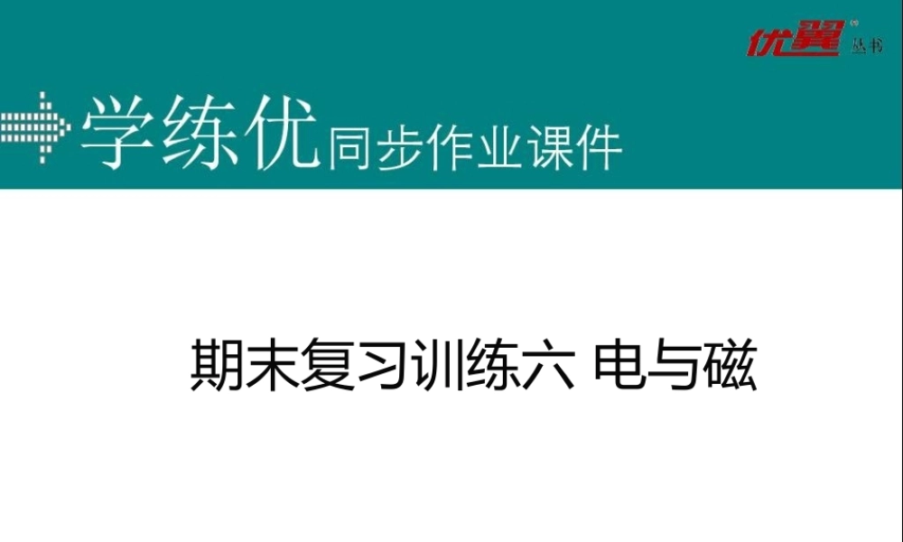 期末复习训练六 电与磁.ppt