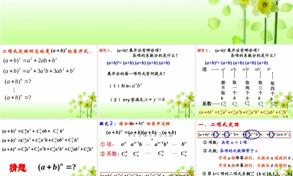 1.3.1 二项式定理.ppt