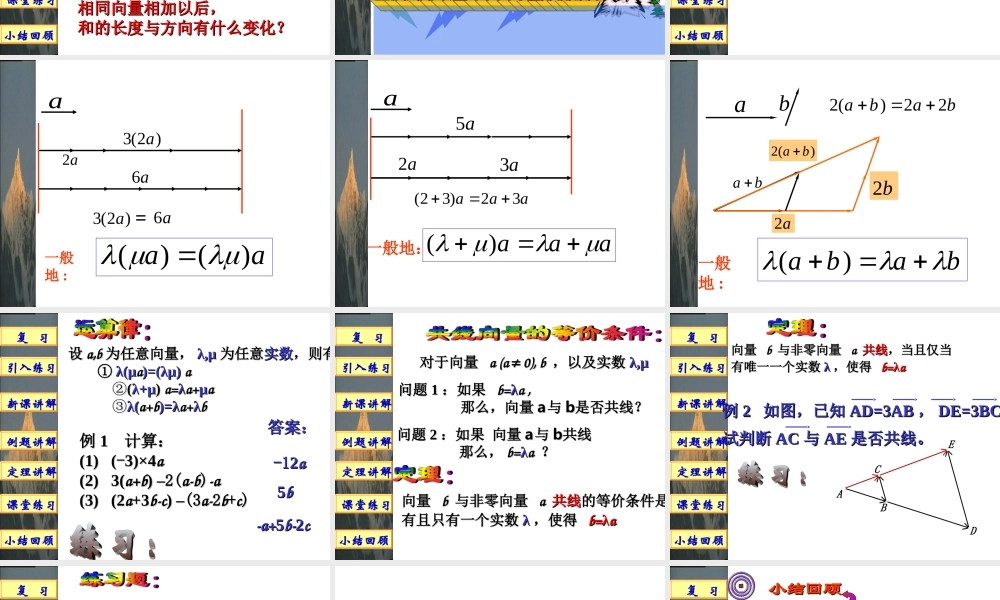 实数与向量的积.ppt