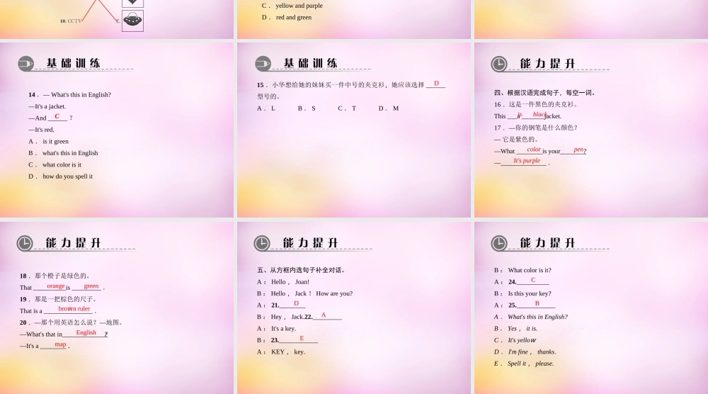 2【练闯考】Starter Unit 3 What color is it课件1.ppt