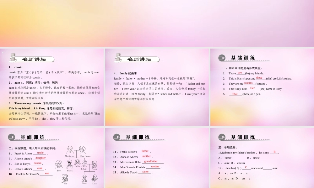 2【练闯考】Unit 2 This is my sister（第4课时）Section B（1a-1d）课件.ppt